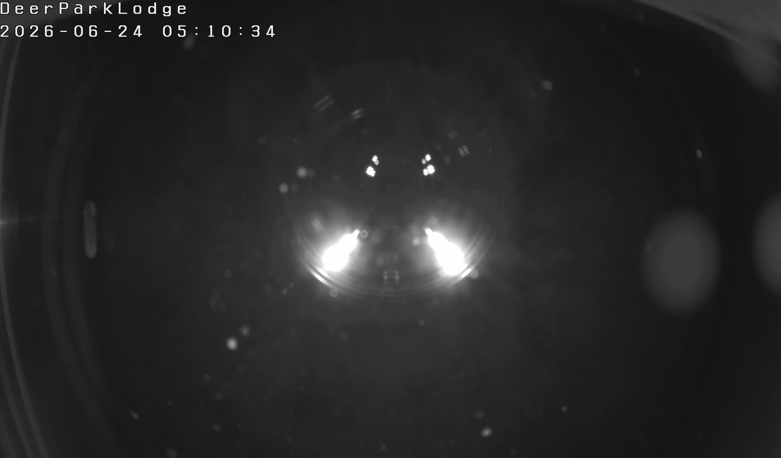 TuffTrux Deer Cam