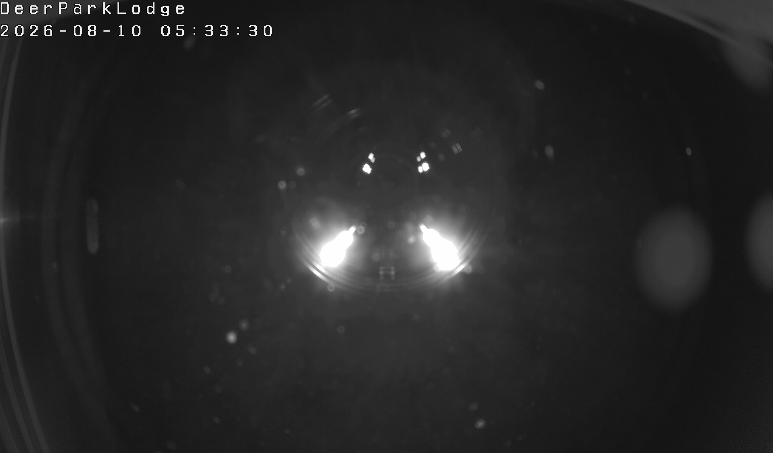 TuffTrux Deer Cam